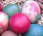 Великденски седобед Великденски седобед
