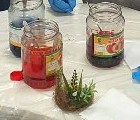 Да посрещнем Великден заедно Да посрещнем Великден заедно