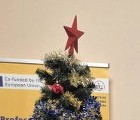Коледно тържество в ЦСОП - Пловдив Коледно тържество в ЦСОП - Пловдив